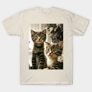 Cat Lovers Cute Kittens T-Shirt